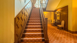 The Stairs in D'Arcy House